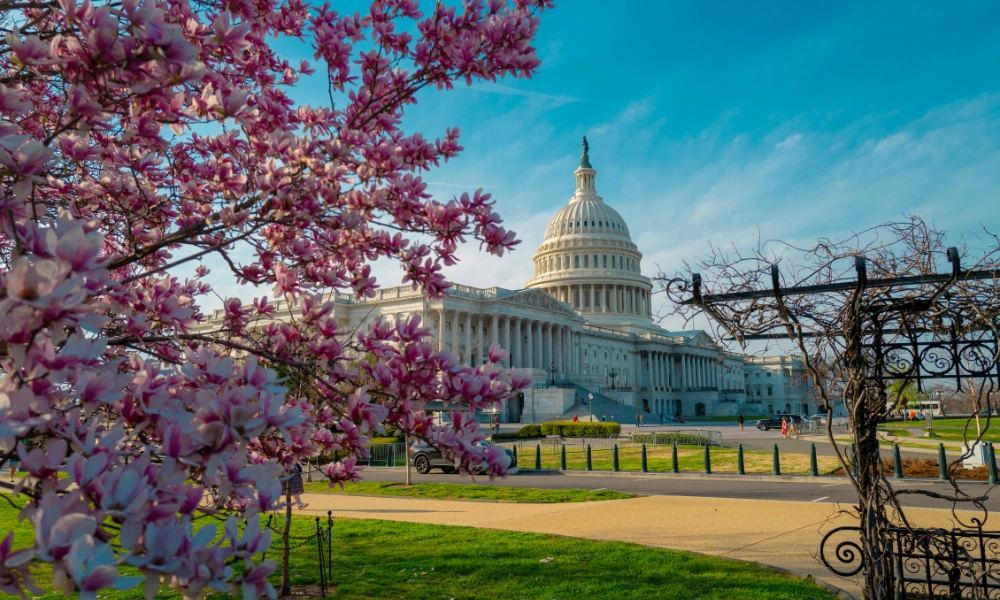 Business Valuation Services in Washington